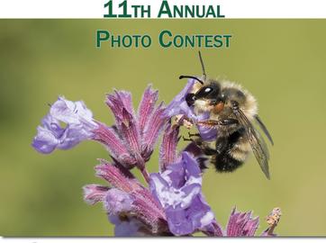 MNA Announces 11th Annual Photo Contest